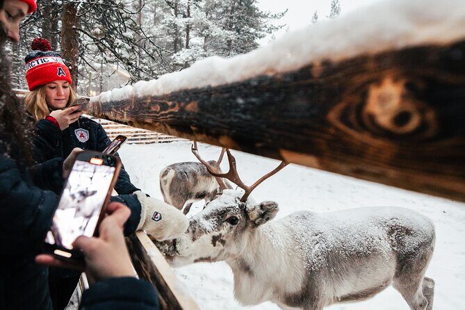 1 Day Pass Lapland Winter Park in Rovaniemi - Ice Skating and Winter Weather: The One Timing Factor to Watch