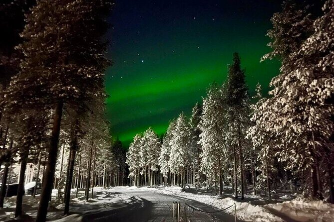 1 Day Pass Lapland Winter Park in Rovaniemi - Sauna and Restaurant Extras: What You Might Want to Add
