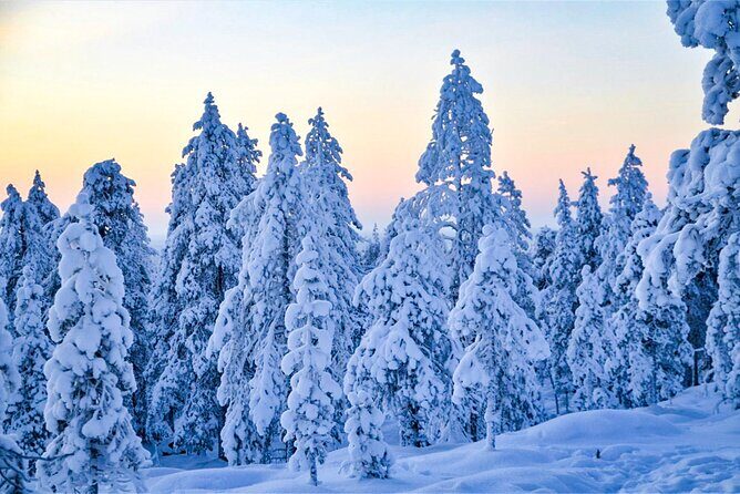 1-Hour Snowmobile Safari Adventure in Rovaniemi - Getting There in Rovaniemi (and Finishing Back Where You Started)