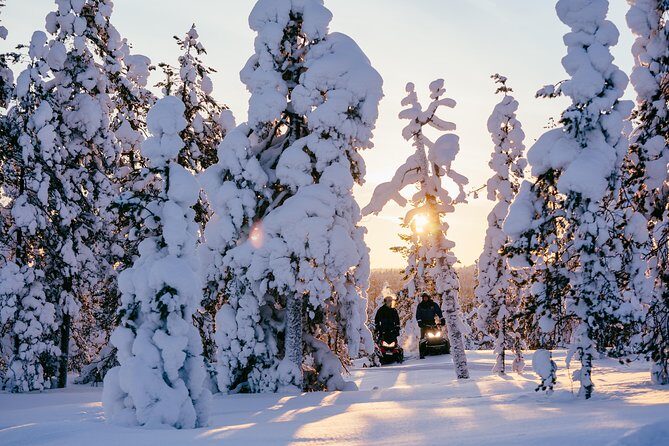 1-Hour Snowmobile Safari Experience - License check and a safety briefing that sets the pace