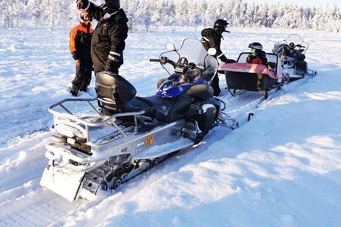 1-Hour Snowmobile Safari Experience - Your 1-hour ride through Arctic forest: speed tailored, views guaranteed