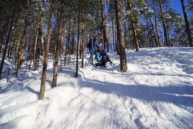 10 km Authentic Husky Safari in the Taiga Forest – Family Kennel - Quick hits before you go