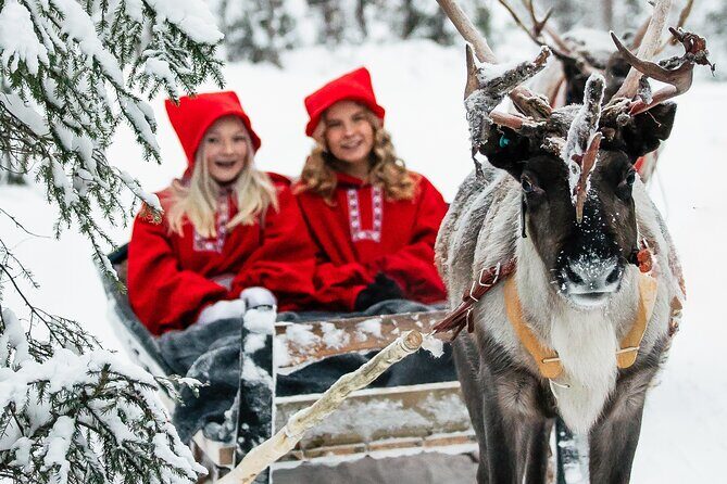 2km Sleigh Ride & Feeding Experience at Traditional Reindeer Farm - Key Things to Know Before You Go
