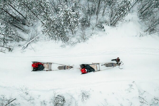 2km Sleigh Ride & Feeding Experience at Traditional Reindeer Farm - The Traditional Reindeer Sleigh Ride (2 km of Pure Quiet)