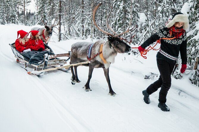 2km Sleigh Ride & Feeding Experience at Traditional Reindeer Farm - Warming Up in a Cozy Hut With Drinks and Snacks