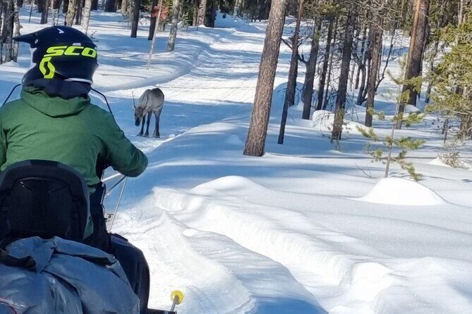3 Days Raid Snowmobile in Finnish Lapland - Who This Tour Suits Best (and Who Should Rethink It)