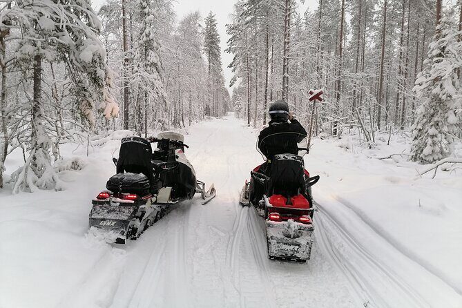 3H Private Snowmobile Experience in Rovaniemi's Forest - The Ride Itself: Forest Paths and Frozen Water (Season Changes the Story)
