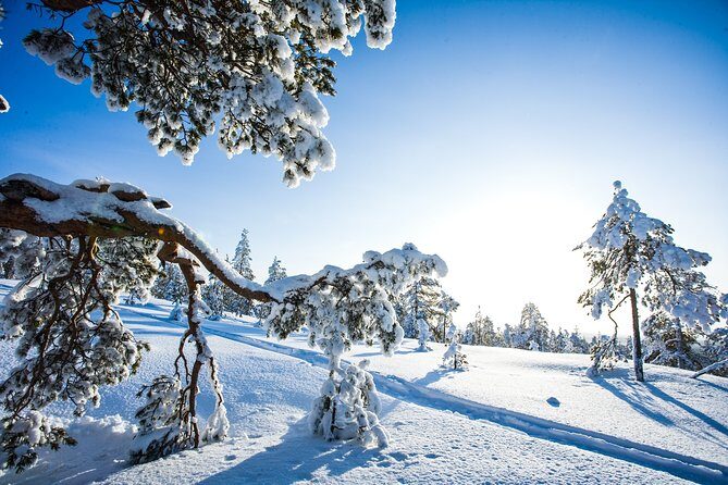All Day Snowmobile Driving - Guidance That Keeps You Confident: Jonas and the Front-Lead Style