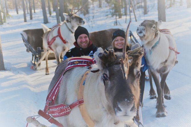 Apukka Reindeer Journey - How the Apukka Reindeer Journey actually feels