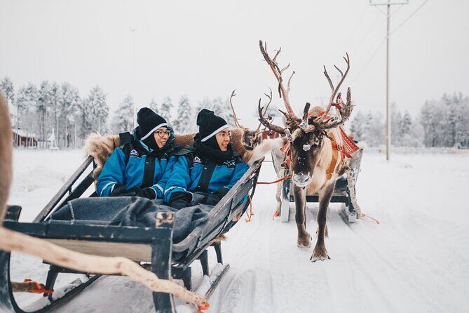 Apukka Reindeer Journey - What happens before the sleigh ride: walking, meeting, photographing