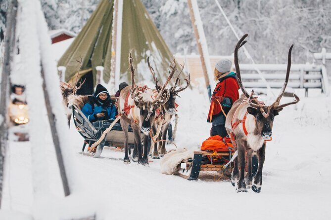 Apukka Reindeer Journey - The sleigh ride: pace, views, and photo opportunities