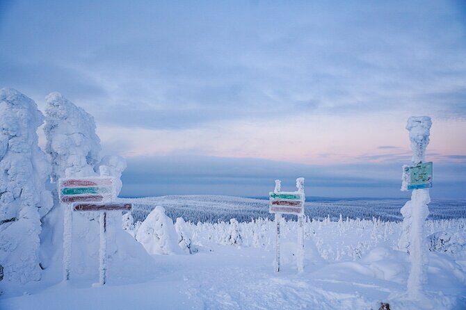 Arctic Adventure through Magical Frozen Forests of Riisitunturi - Who Should Book This Frozen-Forest Walk, and Who Should Skip It