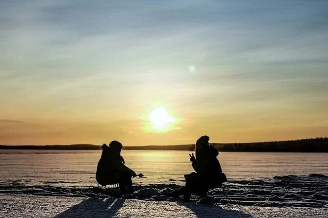Arctic Circle Family Day - Key things to know before you go