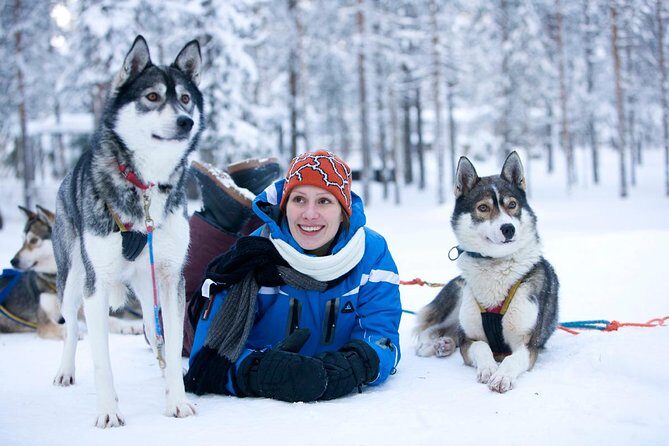 Arctic Circle Family Day - Arctic Circle Family Day in Rovaniemi: animals, machines, and real winter work