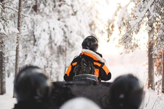 Arctic Circle Snowmobile Safari for Beginners in Rovaniemi - Learning to drive: 2-seat snowmobiles, driver swaps, and the calm pace