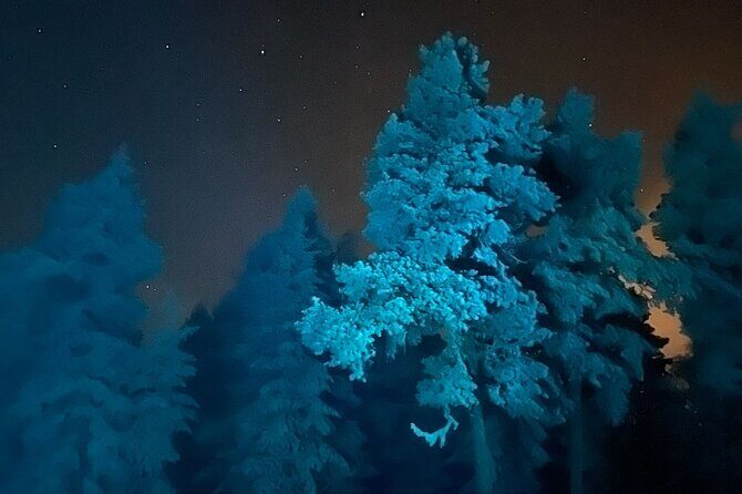 Aurora Borealis Dinner in a Glass Igloo - A glass igloo dinner in Lapland forest, not a roadside stop