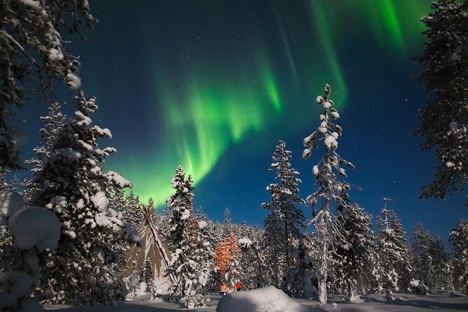 Aurora Borealis Picnic in Rovaniemi - Key things I’d plan around before you go