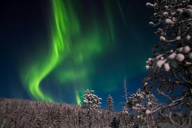Aurora Borealis Picnic in Rovaniemi - Entering Lapland night: why this aurora picnic feels different