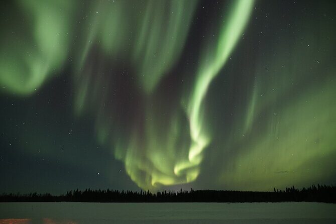 Aurora Borealis Picnic in Rovaniemi - How the guide finds aurora odds (and keeps you patient)