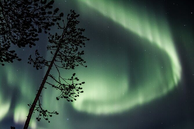 Aurora Borealis Picnic in Rovaniemi - Your night’s flow: what happens from Safartica to the tundra and back