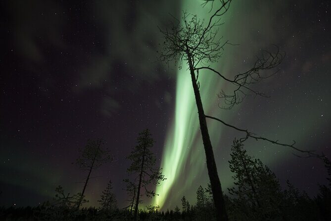 Aurora Borealis Picnic in Rovaniemi - Stop at Safartica: the time window that matters