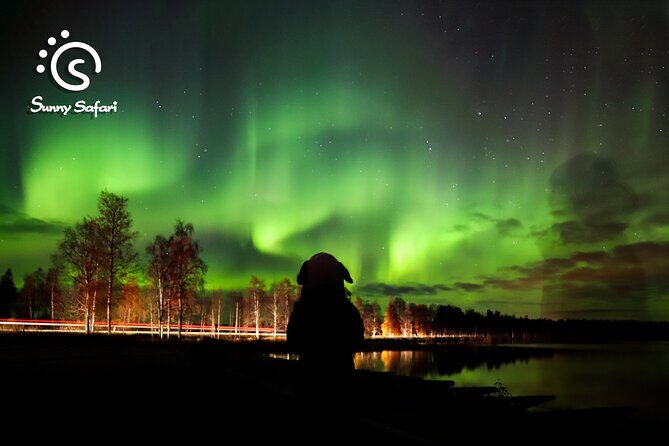 Aurora Borealis Trip - Autumn - Aurora Borealis odds in Rovaniemi: what your 3-hour outing is really like