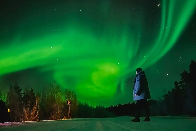 Aurora Hunt with BBQ in Rovaniemi - Key points before you go
