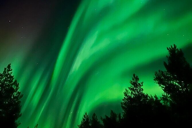 Aurora Hunt with BBQ in Rovaniemi - 8:00 pm pickup and the small-group advantage