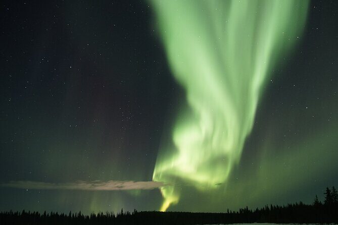 Aurora Hunting Photo Tour from Rovaniemi with Pickup - Safartica makes this aurora night feel easier