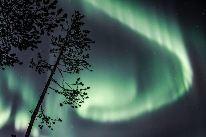 Aurora Hunting Photo Tour from Rovaniemi with Pickup - Pickup and winter comfort: what changes for you in real life