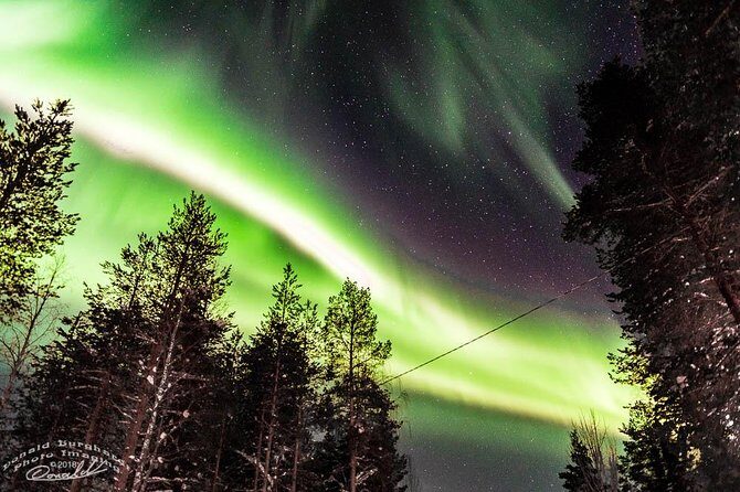 Auroras - Northern Lights Tours by Aurora Experts - Rovaniemi - Key Points Before You Go
