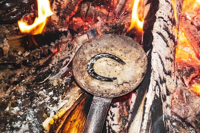 Auroras - Northern Lights Tours by Aurora Experts - Rovaniemi - The Waiting Part: Camp Feel, Fire Pit Warm-Up, and Guide Energy