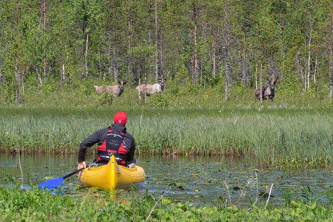 Authentic Reindeer Farm and Canoe Experience from Rovaniemi - How the Day Moves: Pickup and Small-Group Pace From Rovaniemi