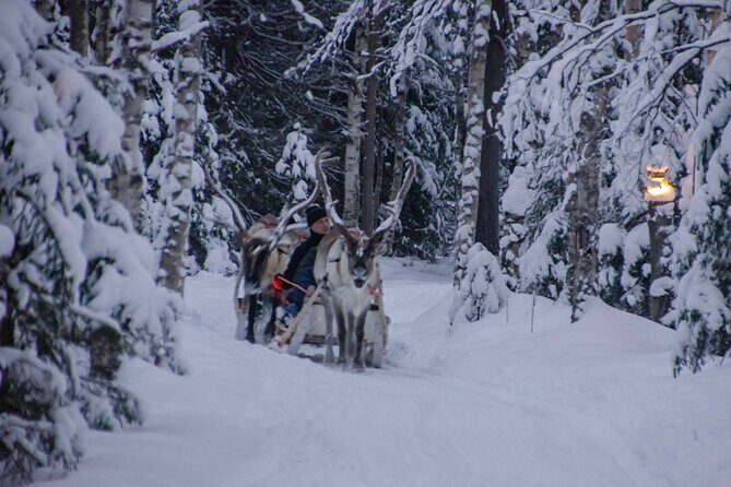 Authentic Reindeer Farm Experience in Rovaniemi - Tea, biscuits, and a traditional hut pause