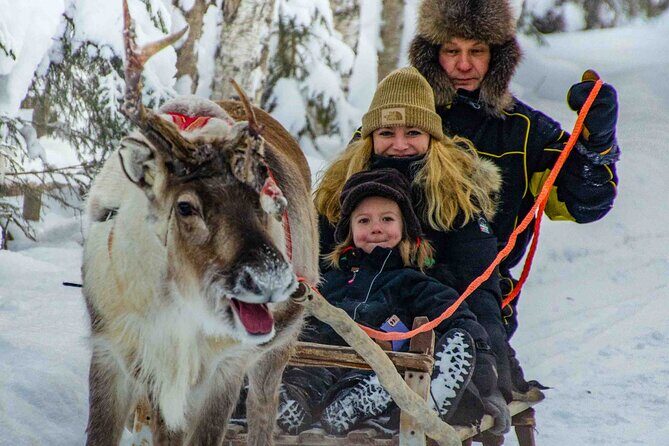 Authentic Reindeer Farm Experience in Rovaniemi - Price check: is $120.15 worth it for a 2-hour morning program?