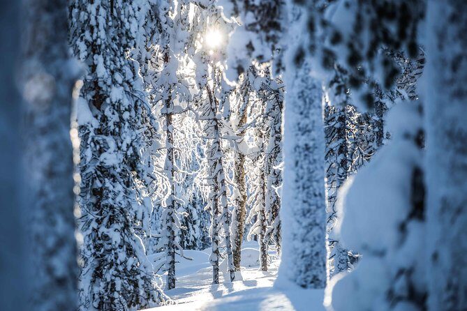 Backcountry skiing adventure - Gear and Clothing: What’s Included and What to Bring