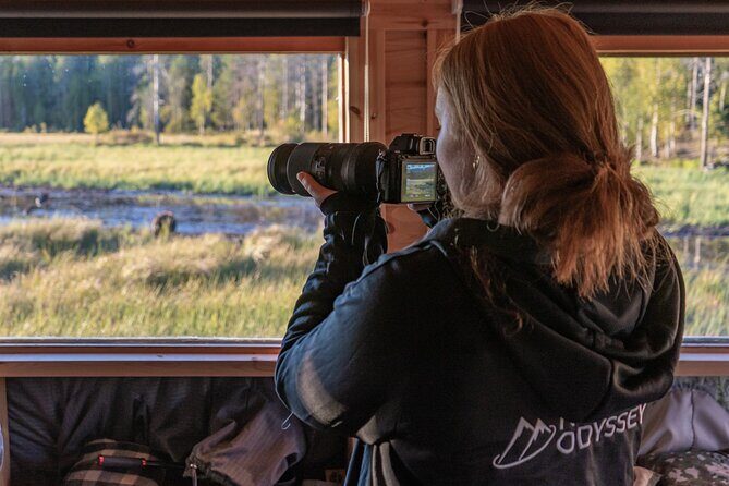 Bear and Arctic Animals 2 Day Trip from Rovaniemi - Rovaniemi Pickup and a Small-Group Animal Circuit
