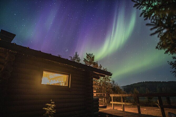 Best Of Lapland: Sauna, Ice swimming, Dinner & Northern Lights - Ice Swimming: The Cold Plunge Moment (and How It’s Managed)
