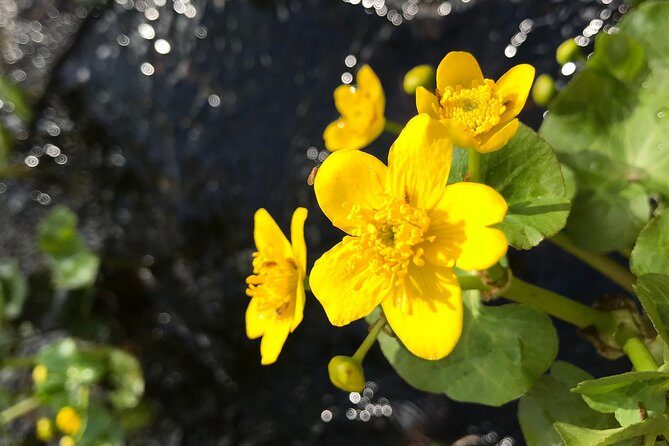 Canoe Trip in Lapland - Photography on the water: plan for wet hands