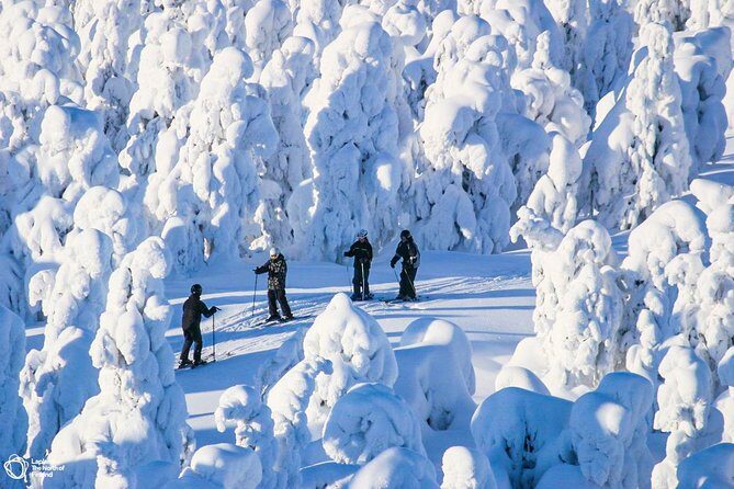 Cross-Country Skiing Trip - Gear, instruction, and why the track feels more forgiving