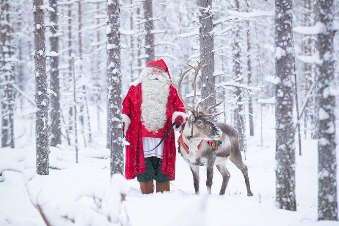 Daytour to Santa Claus Village, Reindeer and Husky Safaris, Photo, and Lunch - Husky Safari and Reindeer Safari: what 500m and 400m means in real time