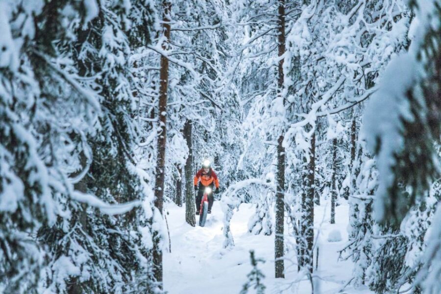 E-FatBike experience in small groups - The 3-Hour Ride Flow: Up, Pause, and Back Through Winter Trails