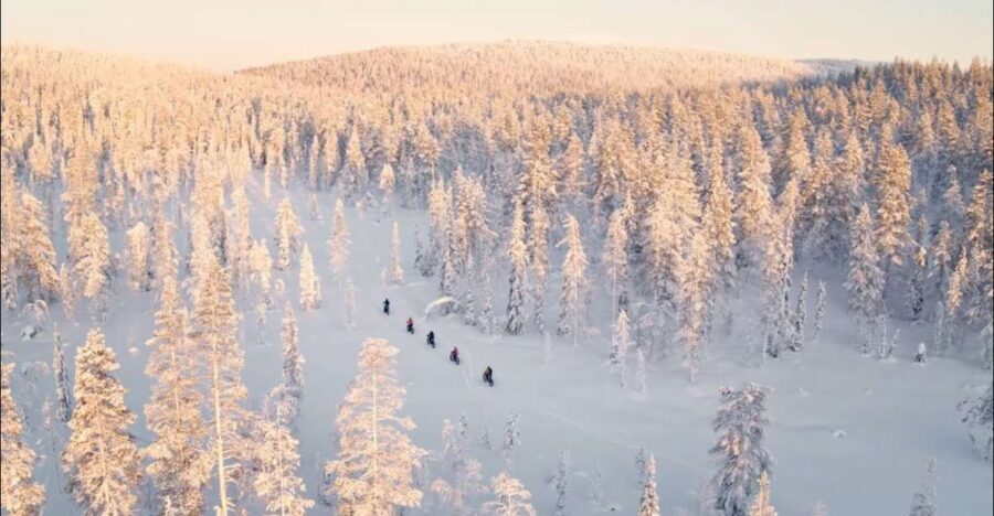 E-FatBike experience in small groups - Should You Book Wonderlapland’s E-Fatbike Tour?