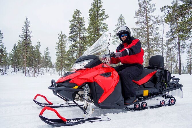 Easy Snowmobile Safari - Key things to know before you go