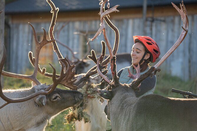 Electric Fatbike Trip to the Reindeer Farm - Meeting at Nordic Odyssey: the 8:30 start and what it signals