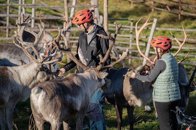 Electric Fatbike Trip to the Reindeer Farm - Weather and comfort: what can go right or wrong