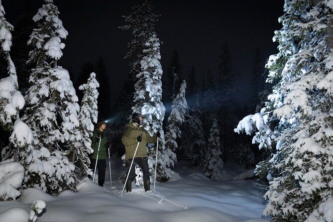 Evening Ski Trek to the Wilderness - Extra Small group - Key Highlights You’ll Feel Right Away