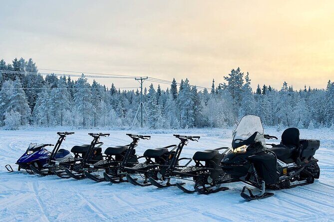 Expedition "INTO THE WILD" Safari and Lunch in Glass Igloo - INTO THE WILD in Rovaniemi: what makes it feel special