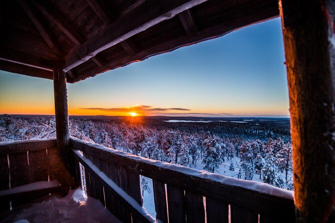 Explore the Wilderness - Key Highlights Worth Booking