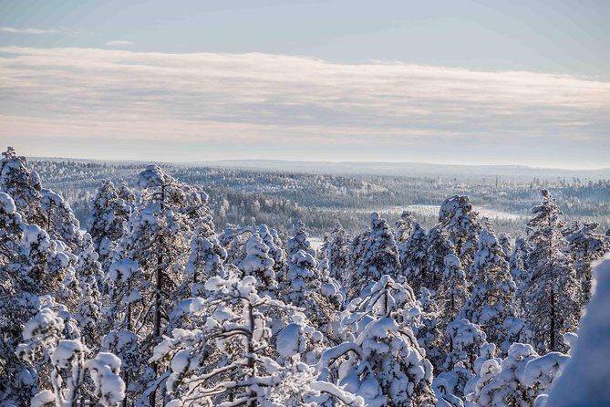 Explore the Wilderness - Who Should Book This Wilderness Photo Hike